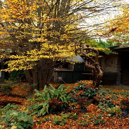 ゲストハウス Origo Vendeghaz 4*