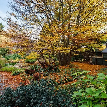 Origo Vendeghaz 4* ヘーヴィーズ